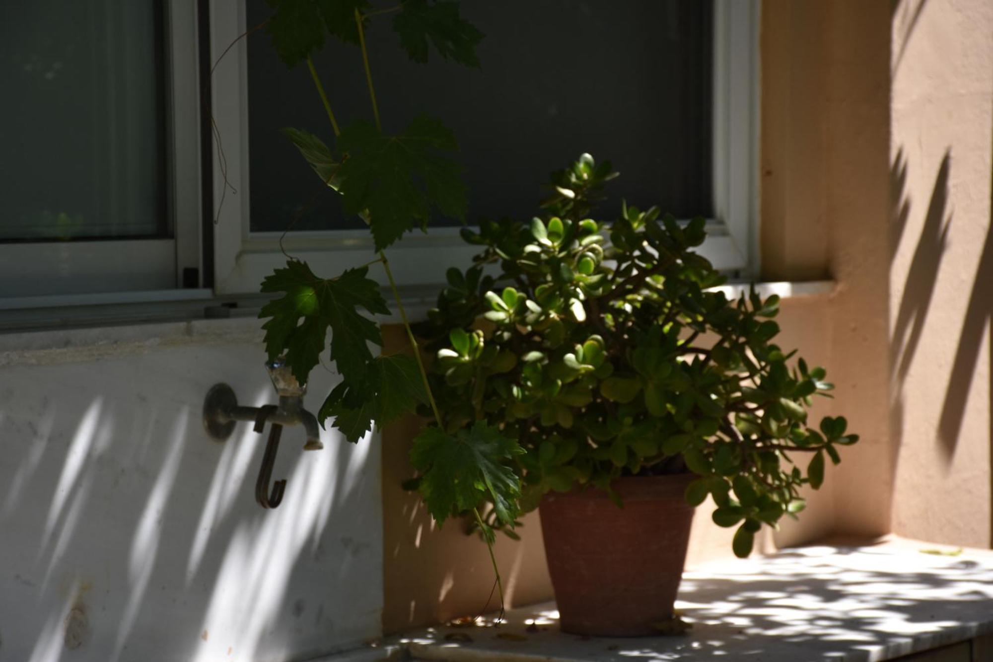 Villa Gerani Gerani  Extérieur photo